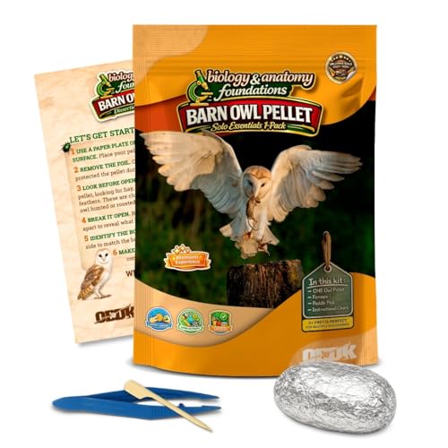 Image of Barn Owl Pellets for Dissection, Solo Essentials Kit, Large 1-Pack by OBDK | Single-student set, forceps, picks and bone chart included