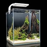 Proporciona las condiciones ideales para plantas, camarones y peces pequeños.