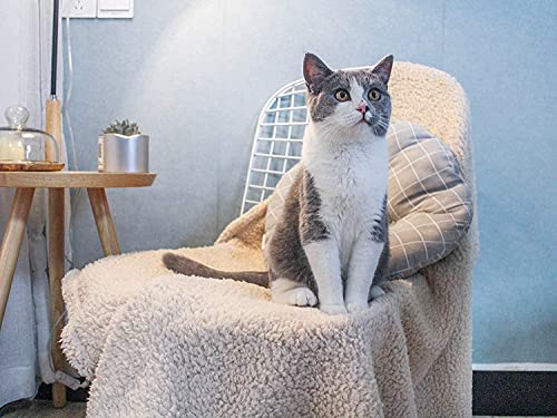 Premium Fluffy Fleece Dog Blanket, Soft And Warm Pet Throw For Dogs & Cats (2-Pack Small 24X32'', Beige&Beige) #TOP6