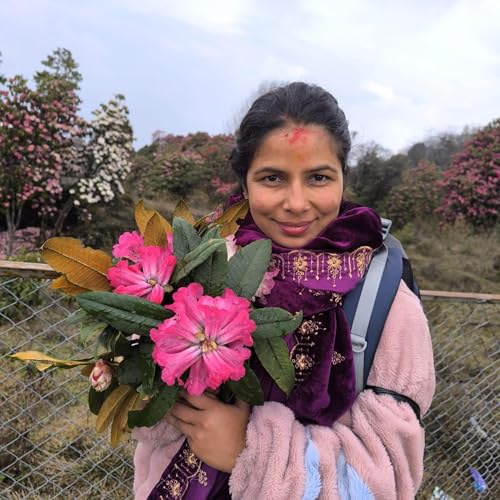 Awishma World cover art