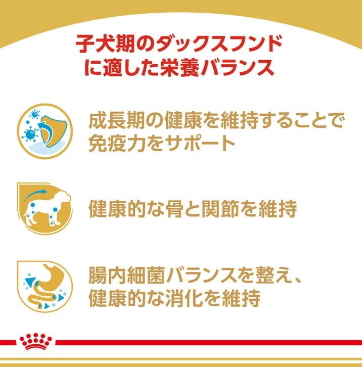 ロイヤルカナン BHN ダックスフンド 子犬用 800g&times;4個セット ニューパッケージ