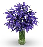 Iris Bouquet-Farm Fresh