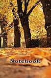 Notebook: Ruled - 5.5 x 8.5 (13.97 x 21.59 cm) - 100 Pages