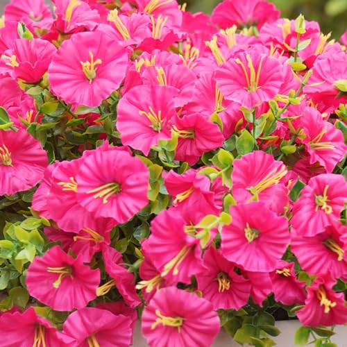 Image of Artificial Flowers for Outdoors, UV Resistant Fake Silk Morning Glory, Realistic Faux Plants for Outside Porch Patio Window Box Hanging Planter (16, Hot Pink)