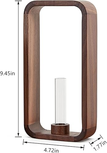 Miniatura 7 de Terrario de plantas con soporte de madera, marco de nogal, jarrón de vidrio, terrario de plantas hidropónicas para decoración de plantas