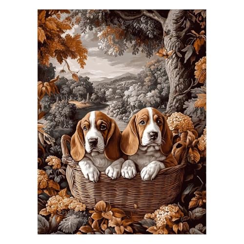 G  G |Lbg yCgoCio[  Lbg  ANG̋ M LoX 40x55 cm EH[A[g  LoXGpLrO[Q̉Ƃ̑ Ǐ Mtg JLYH-7579