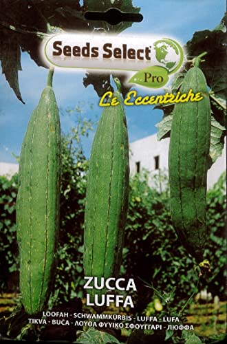 Semi Sementi Di Zucca Luffa In Bustina