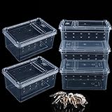 5 Pcs Spider Small Terrariums Breeding Box Transparent Hatching Container Plastic Feeding Box for Small Reptile Spider Scorpion Centipede Insect