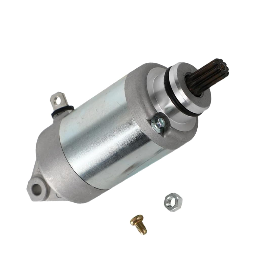 Riloer Ersatz für Elektro-Startermotor, Metall, Motorrad-Ersatz-Motoren, Auto-Starter-Motor-Teile, kompatibel mit Yamaha WR250F YZ250F YZ250FX, 2GB-81890-00 2GB-81890-01