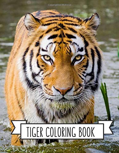 Tiger Coloring Book: Coloring Toy Gifts for Kids or Adults | Cute Easy and Relaxing Realistic Animal Large Print Birthday Gifts