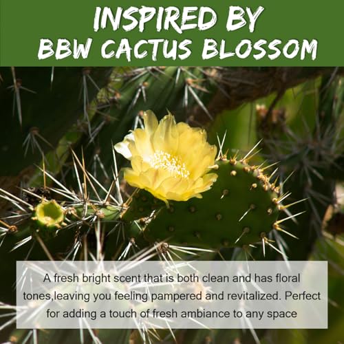 Image of MUBYOK 1.5LB Cactus Oasis Premium Scented Aroma Beads for Making Car Freshies Supplies PreScented Beads for Car Air Freshener Sachets Long-Lasing Scent