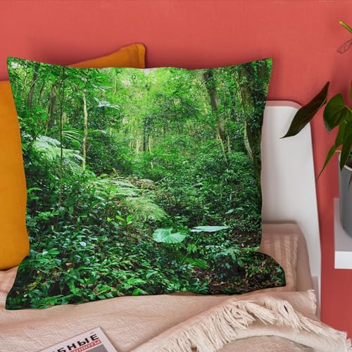 Tissu de lin housse coussin haut de gamme imperméable 50x50 imprimé forêt CEVAN