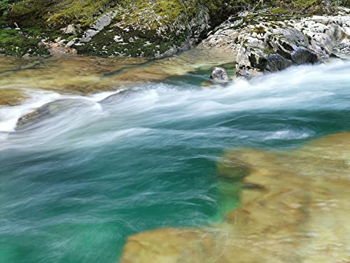 THISIT Dipingere con i Numeri Kit Fai-da-Te,Fiume,ruscello,corso,pietre,muschio,velocità-16x20 Pollici senza cornice