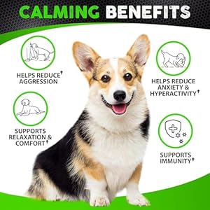 Hempcalmingchewsfordogswithanxietyandstress170dogcalmingtreatsstormsbarkingseparationvalerianrootmelatoninhempoildoganxietyreliefmadeinusasoftchews Urban Country Home Decor Hemp calming chews for dogs with anxiety and stress 170 dog calming treats storms barking separation valerian root melatonin hemp oil dog anxiety relief made in usa soft chews urban country home decor