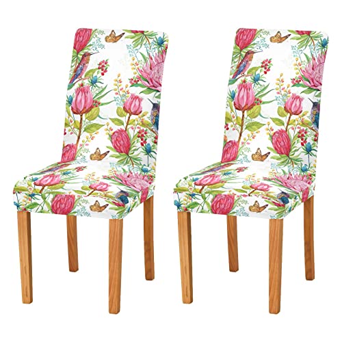 Xigua Hummingbird Garden Chair Covers For Dining Room 2 Pack, Stretch Removable Chair Slipcovers, Universal Parsons Chair Protector For Kitchen, Hotel, Party, Banquet Decoration #TOP24