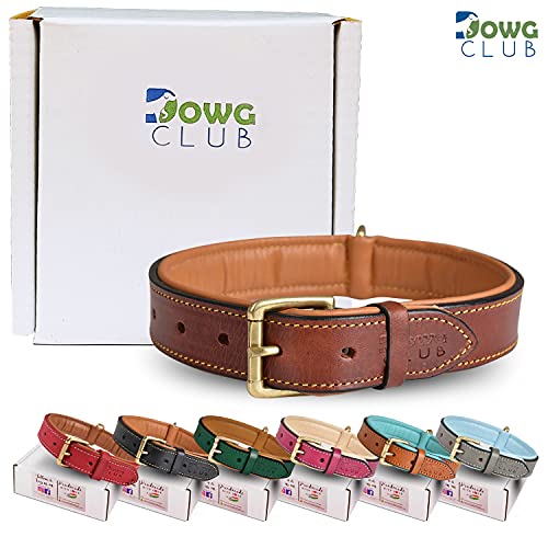 Dowgclub | Genuine Leather Dog Collar | Full Grain, Heavy Duty | Padded, Comfortable, Strong | Best For Pups, Small, Medium, Large, X- Large Dog Breeds, (Medium (Fit Neck Size 14.5"-18.5"), Brown) #TOP6