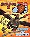 Dreamworks How to Train Your Dragon 2: Time to Race! (4) (Build It)
