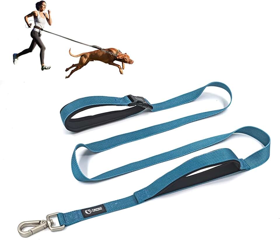 crossbody dog leash