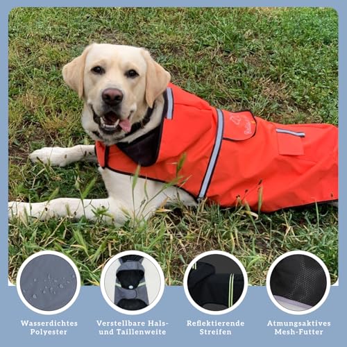 Bella & Balu Hunderegenmantel wasserdicht mit Kapuze und Reflektoren für sichere Gassigänge, Hundespielplatz und Urlaub (L, Orange)