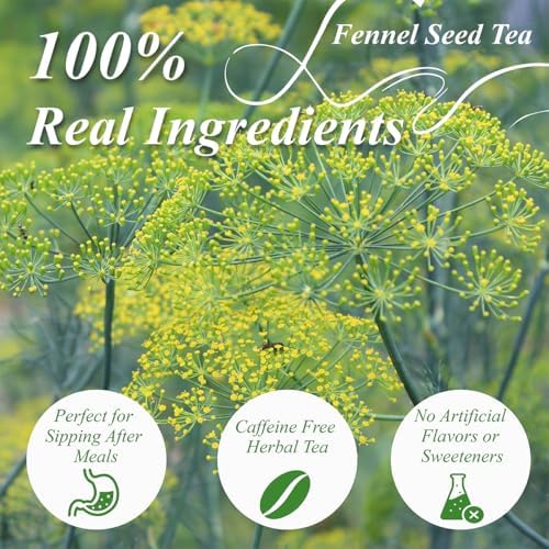 WT WEETEE Fennel Tea Bags 100 Count, 100% Natural & Pure Fennel Seeds Tea, Smooth & Sweet, No Sugar, Caffeine-Free — view 3