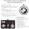 C20 Adjustable Battery Charger 12V 24V 36V 48V, 12A Pulses of High-Voltage Battery Desulfator Maintainer with Smart Chip for Lead-Acid LiFePO4 Lithium Batteries BLB-C20