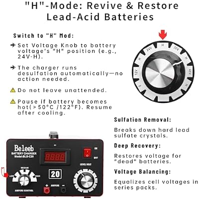C20 Adjustable Battery Charger 12V 24V 36V 48V, 12A Pulses of High-Voltage Battery Desulfator Maintainer with Smart Chip for Lead-Acid LiFePO4 Lithium Batteries BLB-C20