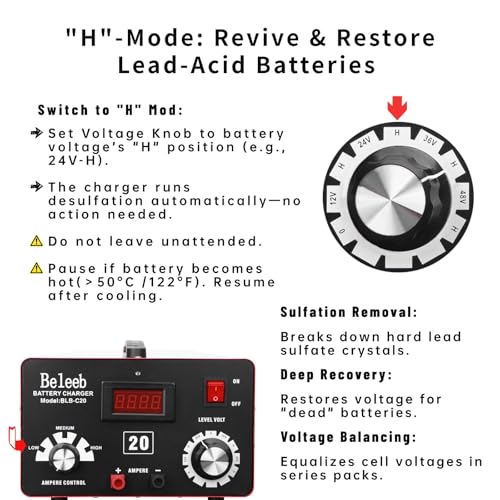 Image of C20 Adjustable Battery Charger 12V 24V 36V 48V, 12A Pulses of High-Voltage Battery Desulfator Maintainer with Smart Chip for Lead-Acid LiFePO4 Lithium Batteries BLB-C20