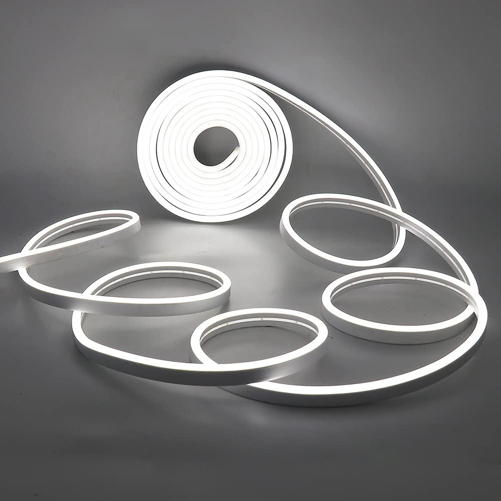 XUNATA Striscia LED al Neon Dimmerabile con Interruttore Dimmer Tattile, Nastro Leggero a Corda Flessibile DC 12V, Fai da te Home Art Decor Luce Pubblicitaria Commerciale (Bianca, 5m)