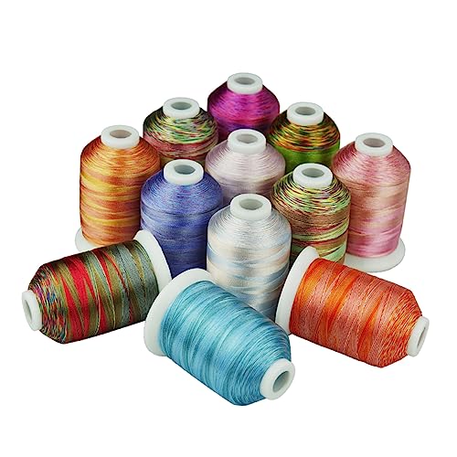 DIYEAH 12rolls Embroidery Thread Multi-Function Kit for Cross Weaving Crafts for Home and Shop Use