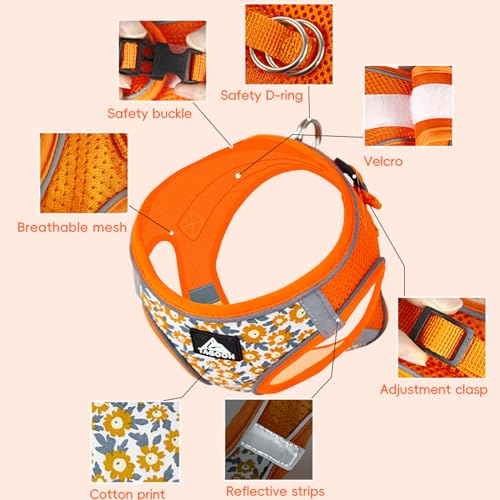 BT Bear Dog Harness and Lead Set,Daisy Flower Adjustable Soft No Pull Dog Vest Harness - Image 4