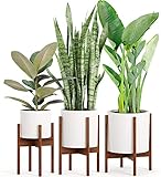 Fox & Fern Set of 3 - Multi-Tiered Plant Stand - Including 3 White Plant Pots - 8 + 10 + 12 inch