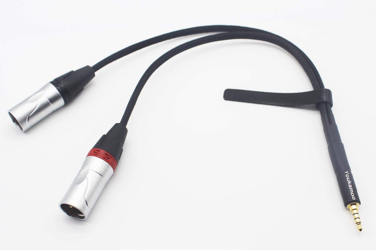 Amazon.co.jp: [ 4極 バランス 3.5mm変換XLR ] 3.5mm to 2XLR(L-R)銀