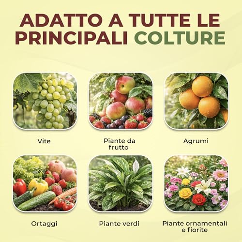 Bioemoplus® Vero Sangue Di Bue Concime Liquido Biologico 1 Kg | Rinverdente Per Piante Con Azoto E Ferro | Stimola Crescita E Vigore | Concime Organico Universale Per Piante Verdi, Da Frutto E Orto - 5