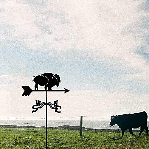 Girouette de ferme toit indicateur direction vent extérieur - 6