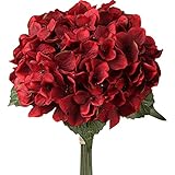 Sie kommt in einer Blumenvase auf dem Esstisch oder der Fensterbank schön zur Geltung. Aber auch auf einem Beistelltisch neben der Couch oder einer Kommode im Schlafzimmer zieht sie die Blicke auf sich.