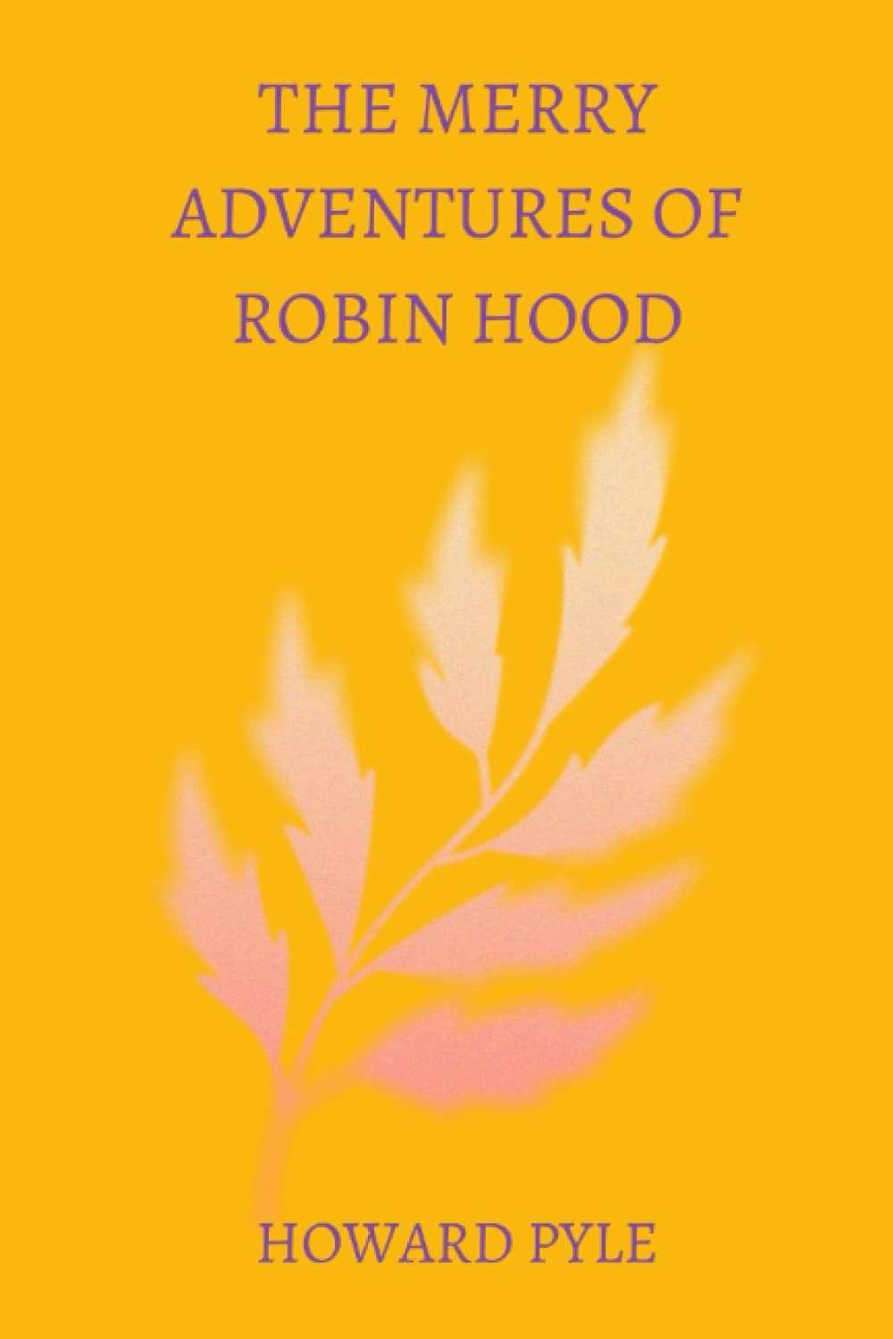 the merry adventures of robin hood by Howard Pyle