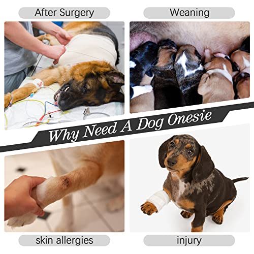 Kuoser Hundebody nach op, Medizinischer Body Hund,Hunde Schlafanzüge, Hundebody nach kastration, Anti-Lecken Wundschutz,Kegel-Alternative (3XL,Grau)