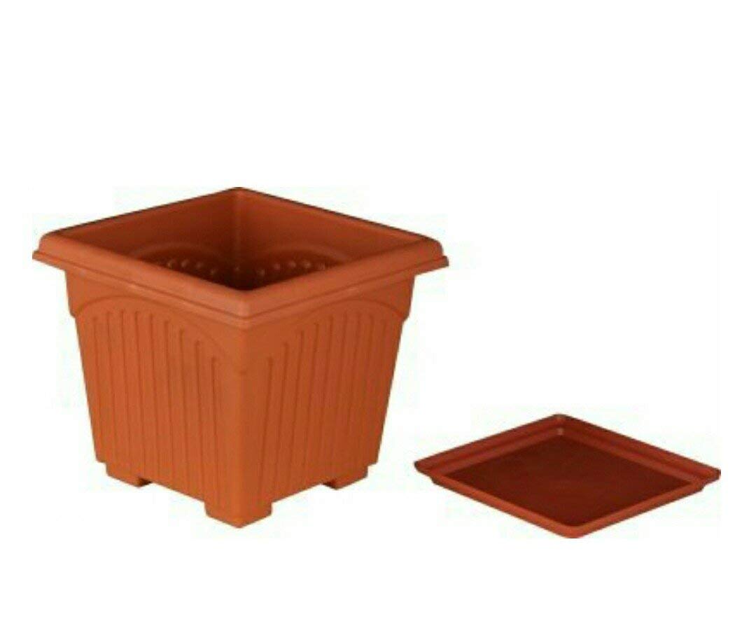 Shree Parshva 10 Inch Plastic Square Planter with Tray Pack of 2 - Brown (B08TWKZQVY) Amazon Price History, Amazon Price Tracker