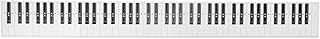 Tbkoly 421433 88 Key Practice Keyboard Piano & Note Chart for Behind the Piano Keys,Guide Teaching Aid Note Chart for Beginner Student,black & white,30 x 15 x 1 cm; 45 Grams