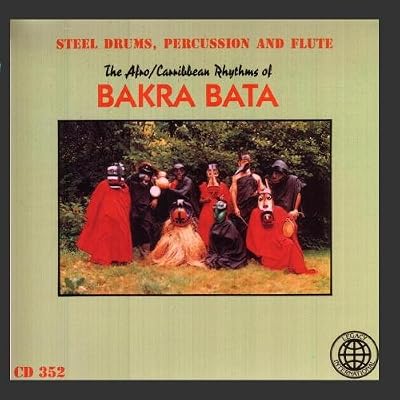 Steel Drums, Percussion and Flute