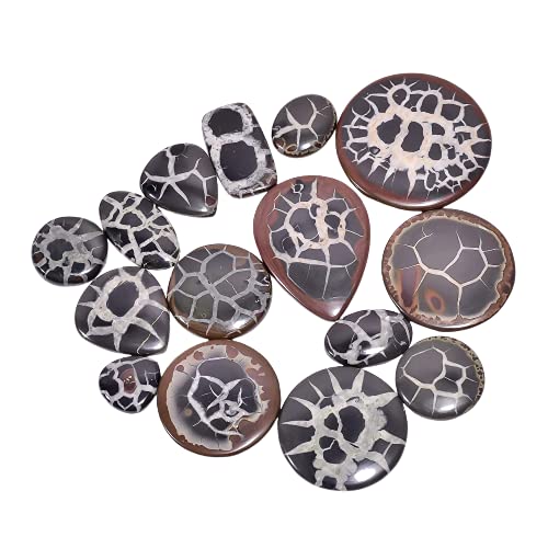 GEMKORATM 100 carats Natural Mud Fossil Septarian Gemstone Cabochons Wholesale Lot, Jewelry Making Loose Gemstones Supply, Minreal, DIY, Wire Wrapping, Healing Crystals, Bulk Gemstone Deal 3 to 4pcs