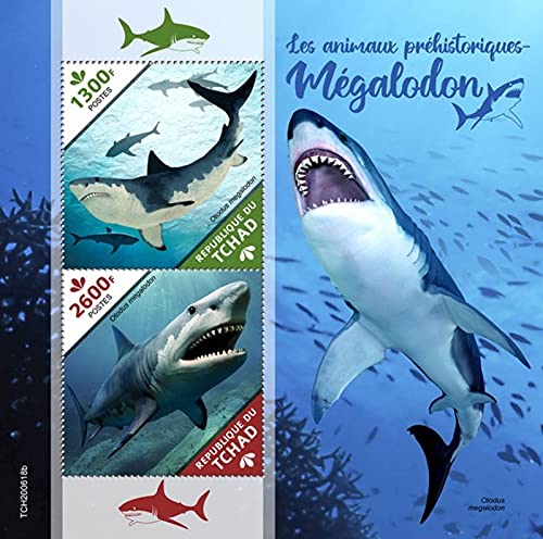 Chad - 2020 Prehistoric Animals-Megalodon - 2 Stamp Souvenir Sheet - TCH200618b