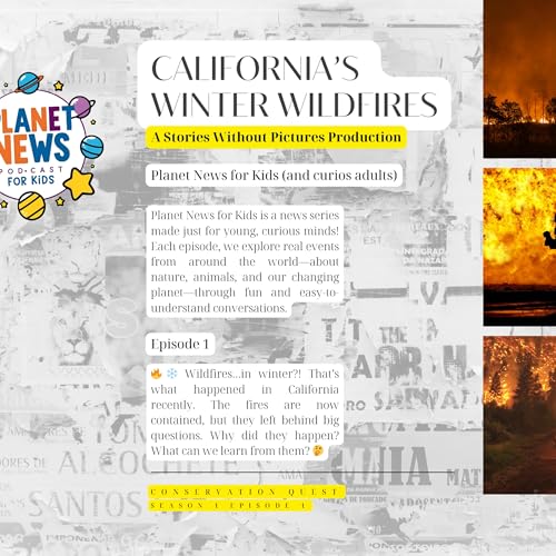 California&rsquo;s Winter Wildfires