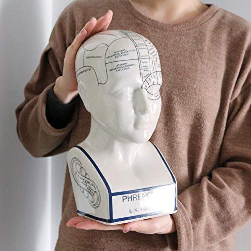 THE PHRENOLOGY オブジェ　サイズ L Phrenology Head Statue Map of Brain Porcelain Sculpture