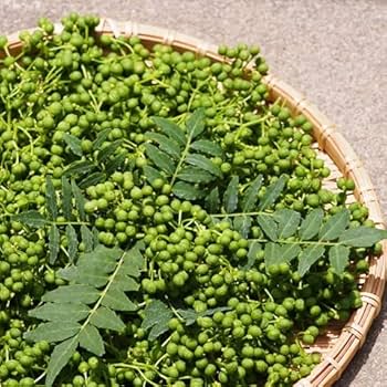 大容量！山椒の葉1kg 2000枚相当 Amazon | 【西日本産】実山椒 山椒の実 1箱 約460g～500g | 808