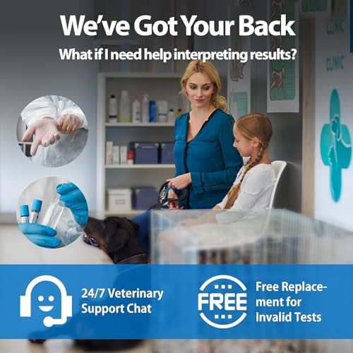 Image of 4-in-1 Dog Health Management Card 4-in-1 Canine Health Signal Analyze Common Canine Illnesses Quick and Easy at-Home Testing