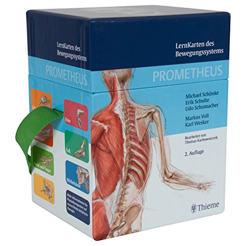 Sport-Tec Prometheus Lernkarten des Bewegungssystems, 394 Karten