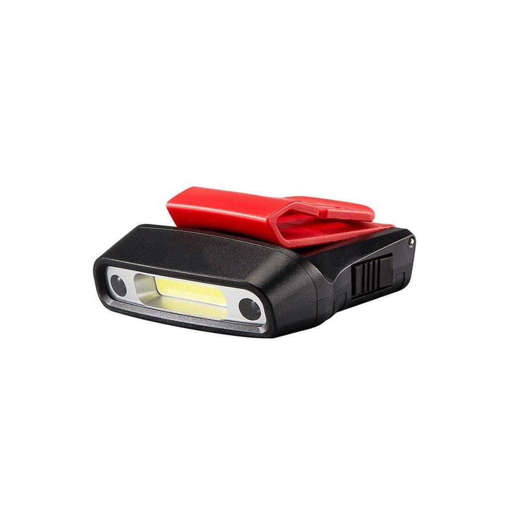 Lampe de poche pour promeneur de chien et sorties nocturnes en famille