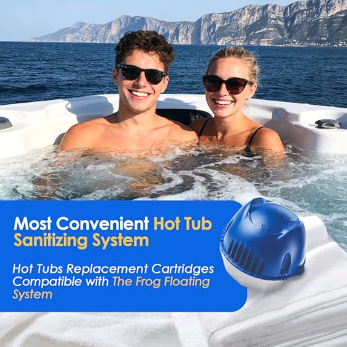 Image of Replace the Filter Element,3 Pack-Hot Tubs Replacement Cartridges Compatible with The Frog Floating System - Water Treatment System for Hot Tubs up to 600 Gallons - Less Chemical Use
