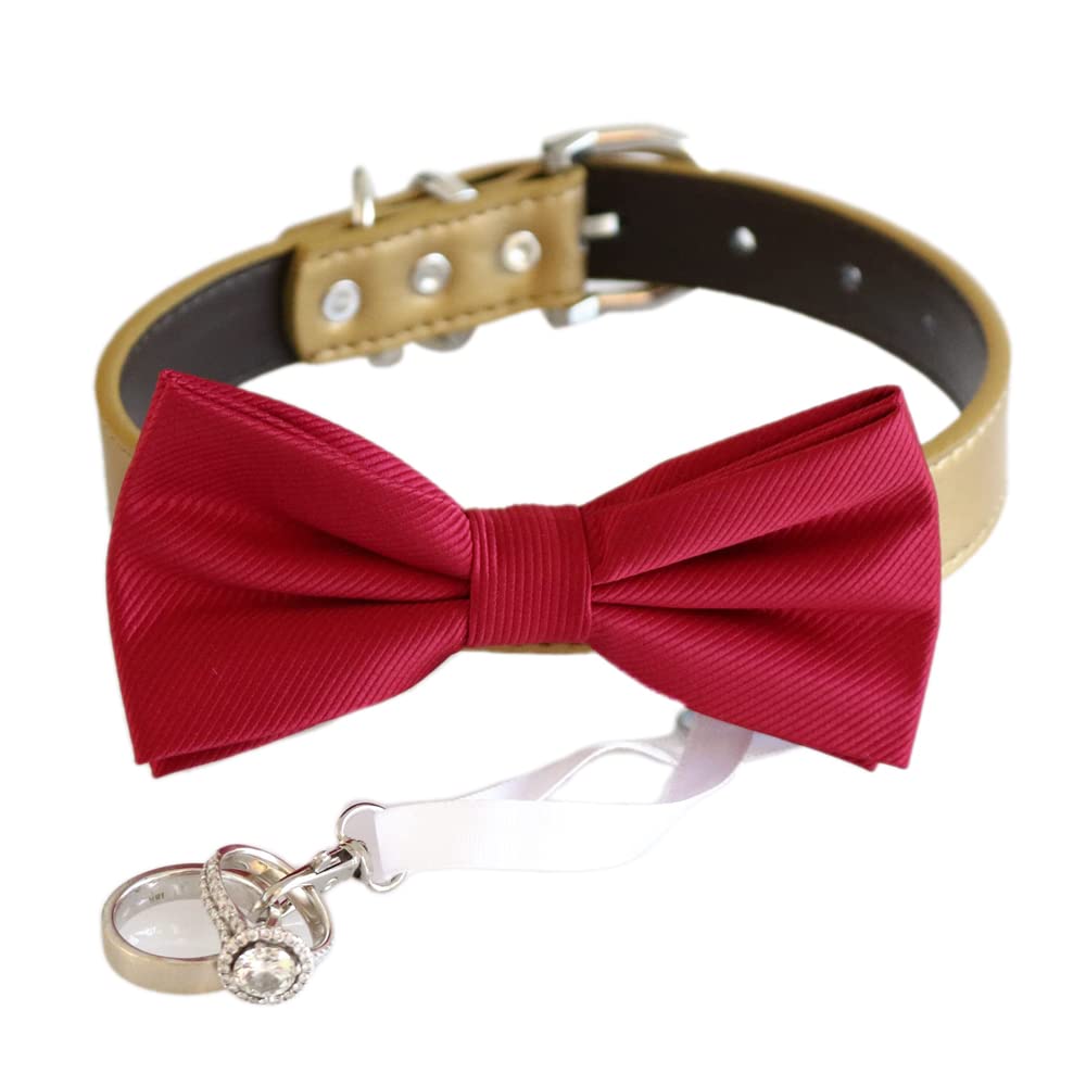 Red dog bow tie collar, dog collar, leather, Proposal, dog